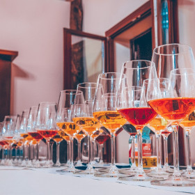Aprende de la cultura del vino en una cata privada